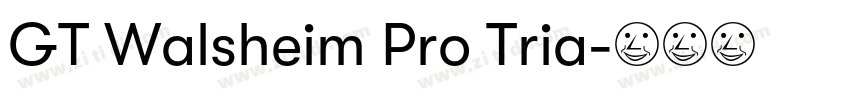 GT Walsheim Pro Tria字体转换
